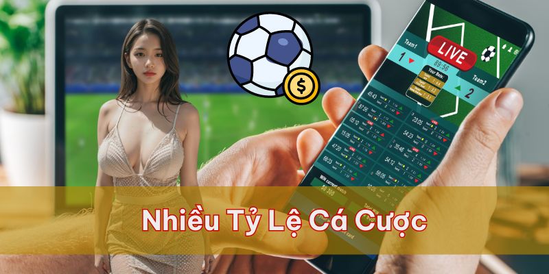 Nhiều tỷ lệ cá cược được đưa ra cho người chơi lựa chọn